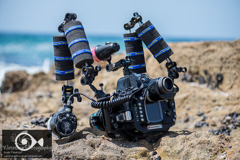 Brook's Nikon D810 and Sea&Sea underwater camera rig.