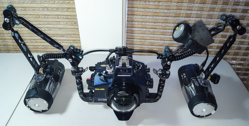 Ron Watkins' wide-angle setup with Zen mini dome port.