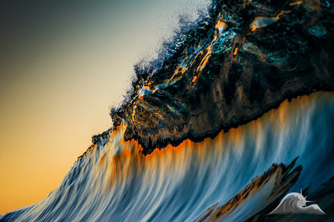 Shot with Sony a7 | Aquatech elite a7 series I housing | P-120 port | Tokina 100mm f2.8 macro | Metabones mark IV Canon adapter