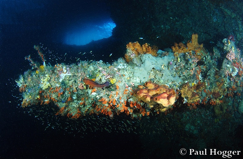 A horizontal rock spire in the Farondi Cave, SE Misool.