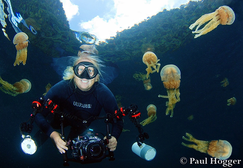 The Jellyfish lakes offer some fantastic photo opportunities on snorkel. The glassy surface conditions makes under/over, below-the-surface-looking-up and reflection photography a lot easier.