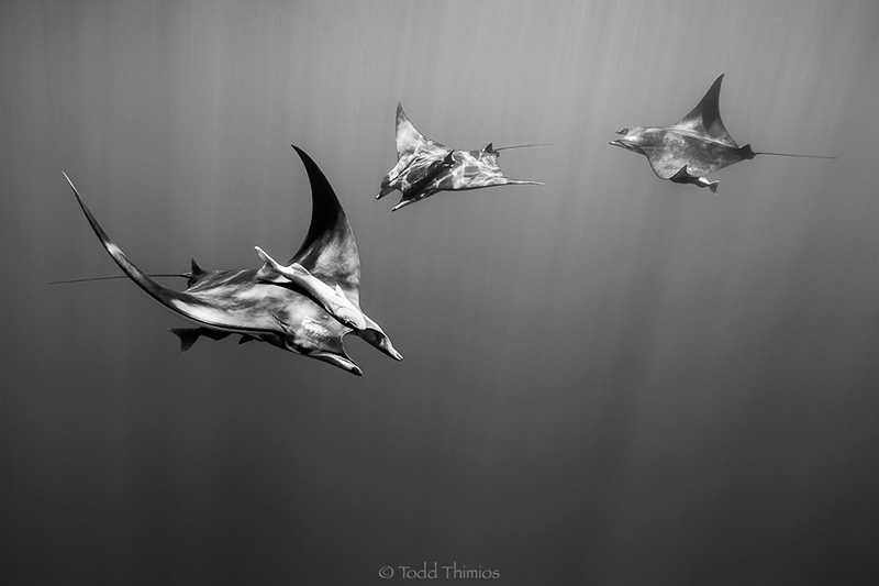 Canon EOS-1D Mark IV Canon Lens focal length 16mm f5 1/160