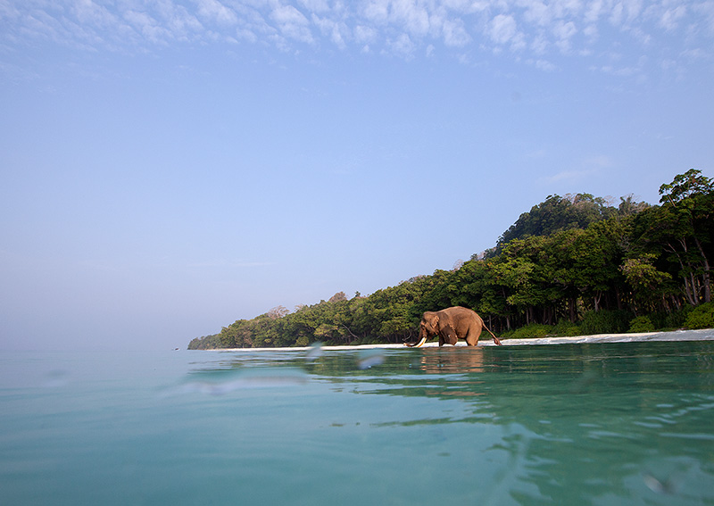 Rajan about to take a dip.