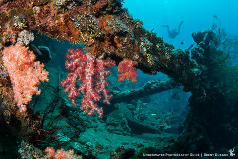 The combination of ambient and artificial light creates a pleasing image in this shipwreck debris. Sea&Sea YS-D1 strobe and I-Torch Venom38 video light. Photo: Brent Durand