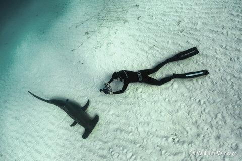 Deepblu announces new brand ambassador, William Winram.