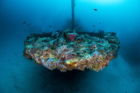 Bow of the Fesou Wreck, Maldives.