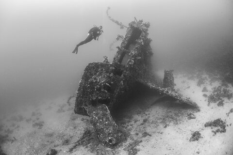 The same image converted to black and white.