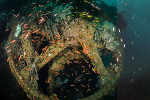 Steering quadrant on the SS Perseus, Columbo, Sri Lanka.