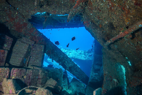 The cargo hold of the Tile Wreck in the Red Sea.