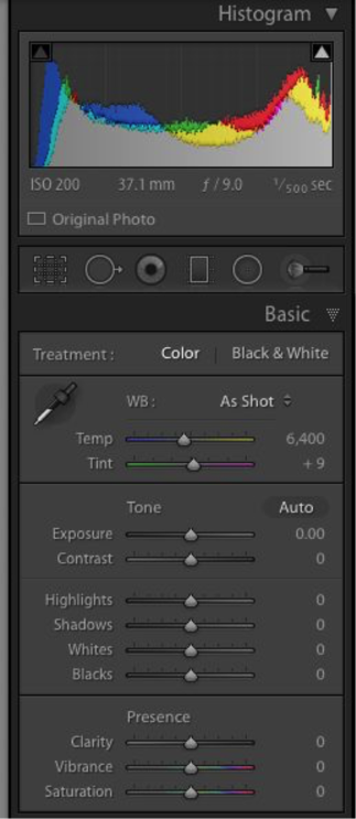 Lightroom's Basic Develop Module