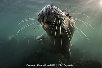 "Never let someone dim your light, simply because it's shining in their eyes" 2nd - Ellen Cuylaerts