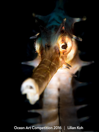 "Ghostly" 2nd Place - Lilian Koh