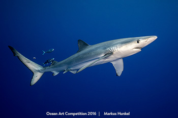 "Blues in the Blue" 2nd Place - Markus Hunkel