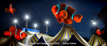 "Clown Fish Circus" 2nd Place - Conor Culver