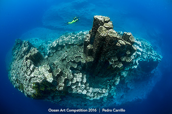 "Krypton" 2nd Place - Pedro Carrillo