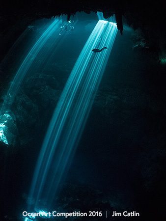 "Light Extraordinary" 4th Place - Jim Catlin