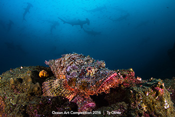 "Watchful Eyes" 3rd Place - Ty Oliver