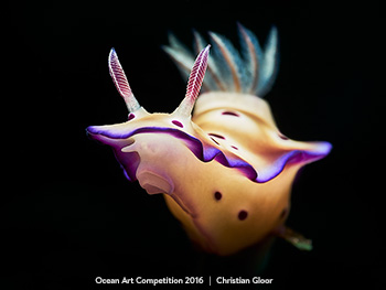 "Inner Light" 3rd Place - Christian Gloor