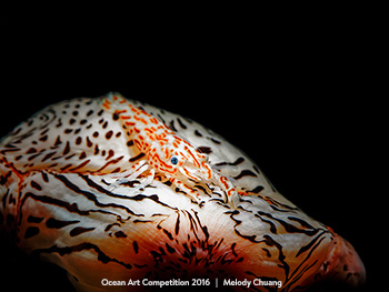 "Leopard Shrimp" 4th Place - Melody Chuang