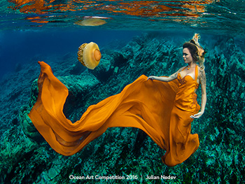 "Jess & Jellyfish" 4th Place - Julian Nedev