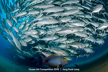 "Jack Fish Parade" 6th Place - Jung Sook Lamy