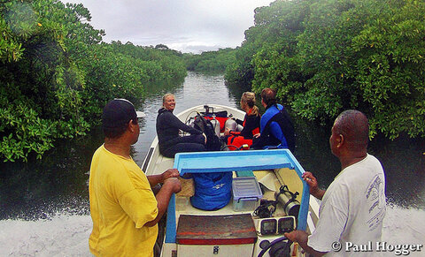 Motoring out to the manta cleaning station.