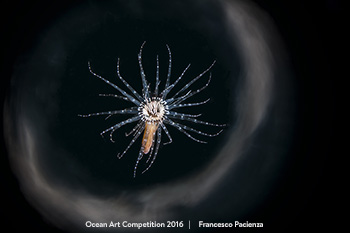 "Fly into Galaxy" HM - Francesco Pacienza