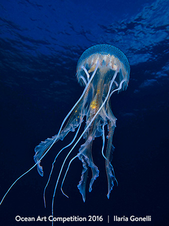 "Clearness" HM – Ilaria Gonelli