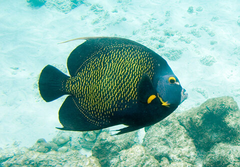 Photo credit: Creative Commons