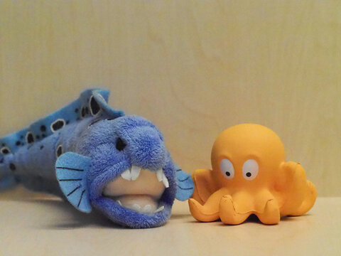 Olympus OM-D E-M1 Mk II. ISO 25,600.