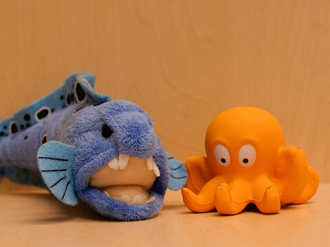 Panasonic GH5. ISO 1600.