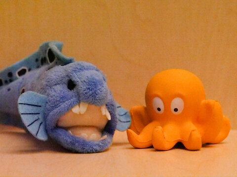 Panasonic GH5. ISO 25,600.