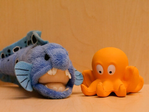 Panasonic GH5. ISO 6400.