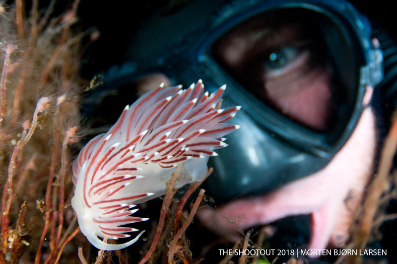 A close nudi inspection by Morten Bjørn.