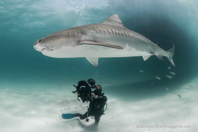 Nikon D90 with 10.5mm fisheye lens. F9, 1/160, ISO 200. Photo: Mike Ellis