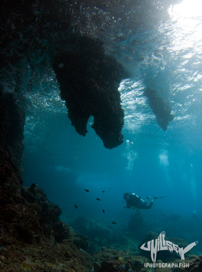 Other divers aren’t always a challenge, especially if they are willing to model for you. 1/160 f/9 iso 200. Photo: Jeff Milisen