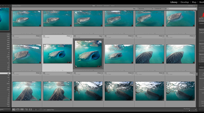 Apply keywords (or other metadata) to several images quickly and easily by simply running the Spray Can over the images with the button held down.