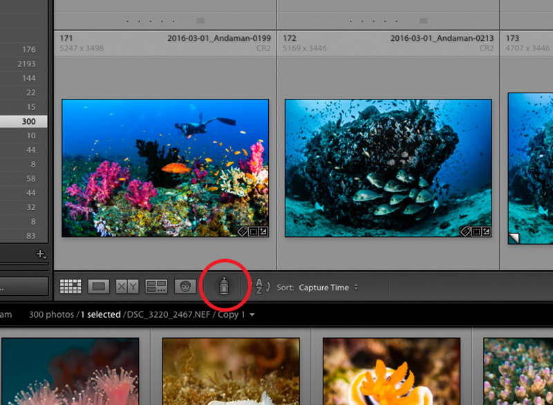 The Spray Can tool, circled in red. Find it when you are in the Grid layout of the Library module.