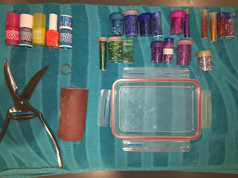 The supplies: No right or wrong here….select the colors and textures that will make the most impact on your final images. Colors that are complementary to your subject work best.