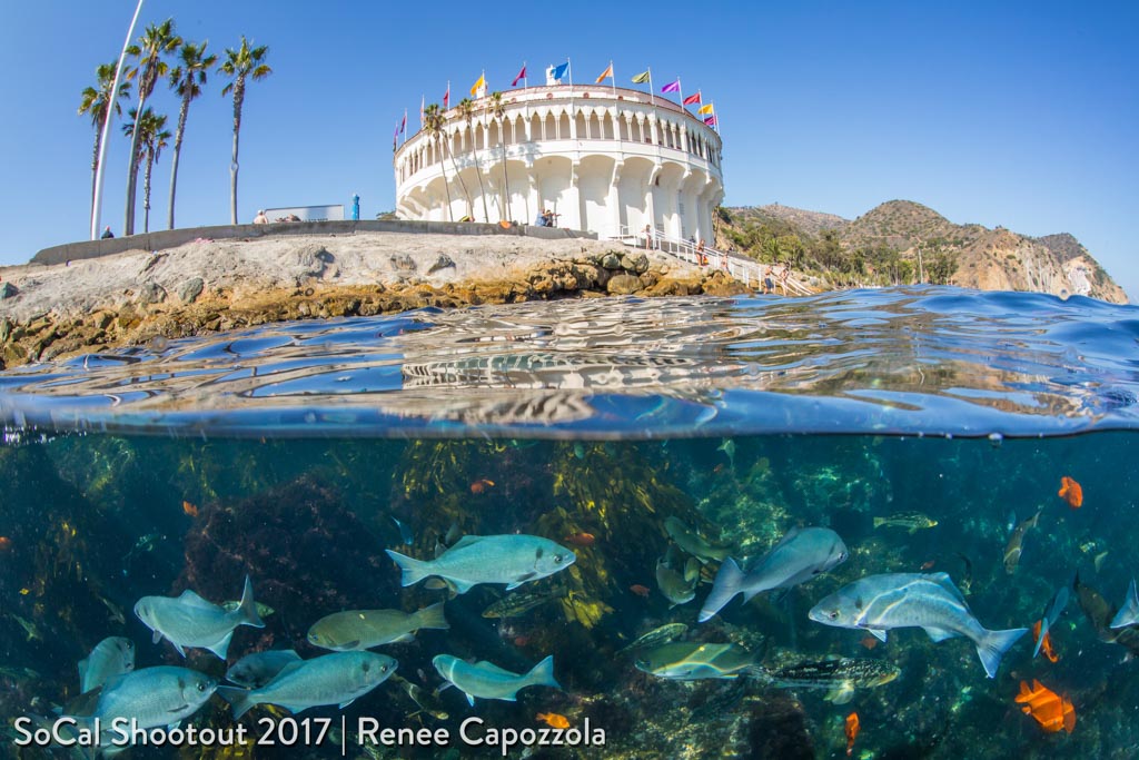 Casino Point Split-1st Place Open Wide Angle- Renee Capozzola