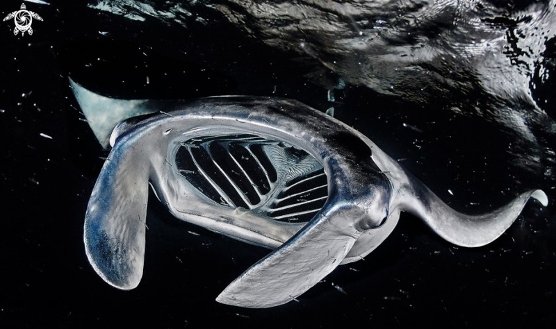 Photo by Alex Rush Photo by Alex Rush