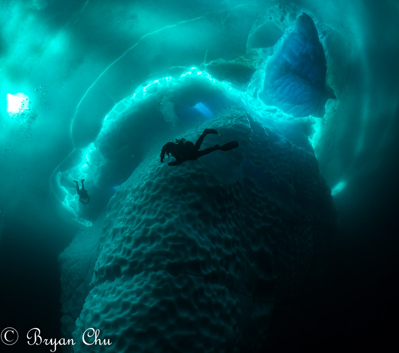 Olympus OM-D E-M1, Olympus 8mm F1.8 Fisheye, Nauticam housing. F/4.0, 1/50 s, ISO 200.