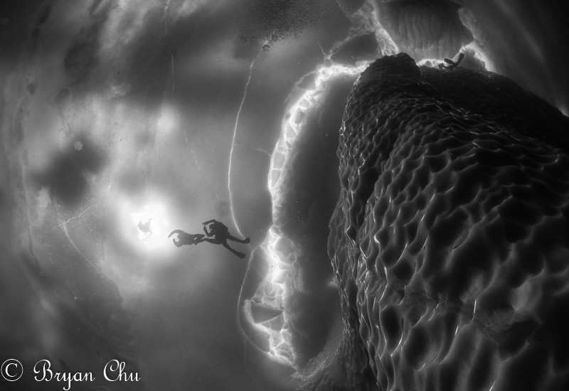 Lineup at the icehole, perhaps for the hot water treatment, or maybe just for cold hands. Olympus OM-D E-M1, Olympus 8mm F1.8 Fisheye, Nauticam Housing. F/4.0, 1/80 s, ISO 200.