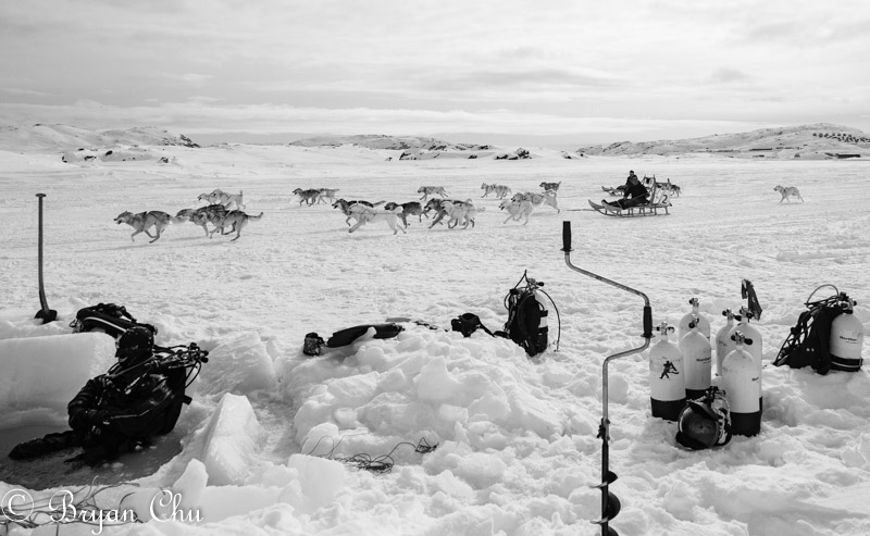 Dogsled race interrupting our diving! Olympus OM-D E-M1 Mark II, 12-100 F4.0 Lens.