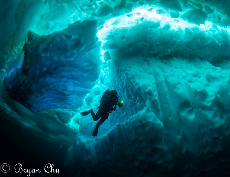 Photo of dive buddy. Issues with cold hands and housing led to using sub-par settings which I could not change at time of photo. Olympus OM-D E-M1, Olympus 8mm F1.8 Fisheye, Nauticam housing. F/3.5, 1/160 s, ISO 400.