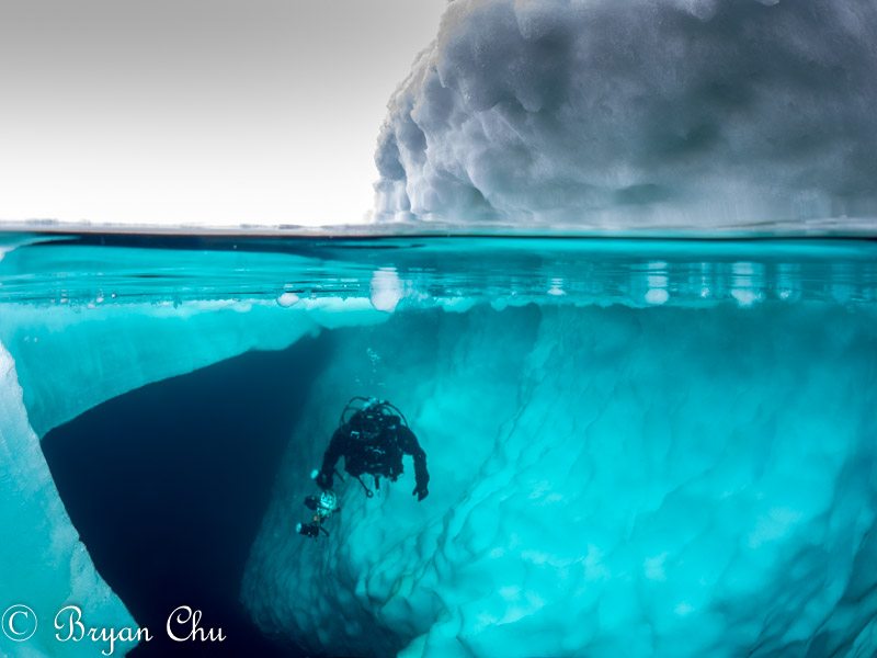 Olympus OM-D E-M1, Olympus 8mm F1.8 Fisheye, Nauticam housing. F/11, 1/100 s, ISO 400.