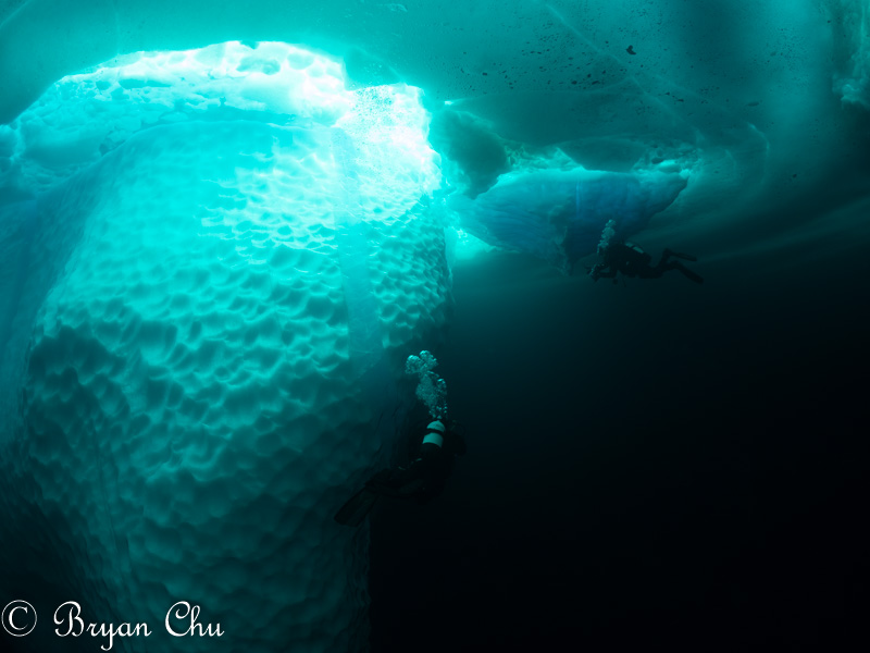 Olympus OM-D E-M1, Olympus 8mm F1.8 Fisheye, Nauticam housing. F/5.6, 1/80 s, ISO 200.