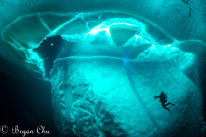 Color version of photo with post-processing. Olympus OM-D E-M1, Olympus 8mm F1.8 Fisheye, Nauticam housing. F/7.1, 1/80 s, ISO 200.