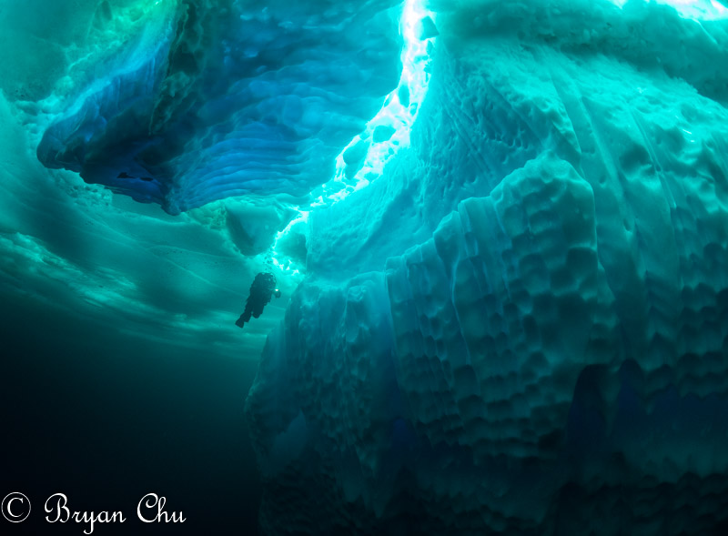 Olympus OM-D E-M1, Olympus 8mm F1.8 Fisheye, Nauticam housing. F/2.5, 1/80 s, ISO 400.