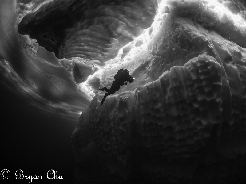 Olympus OM-D E-M1, Olympus 8mm F1.8 Fisheye, Nauticam housing. F/3.2, 1/125 s, ISO 400.